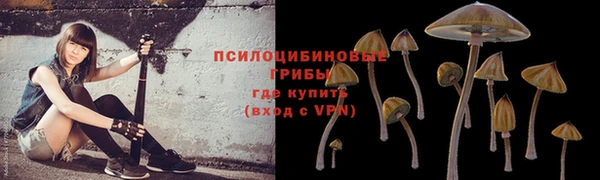 PSILOCYBIN Алексин