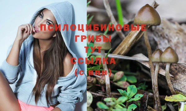 хмурый Алексеевка