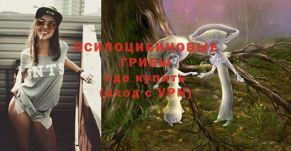 каннабис Алзамай
