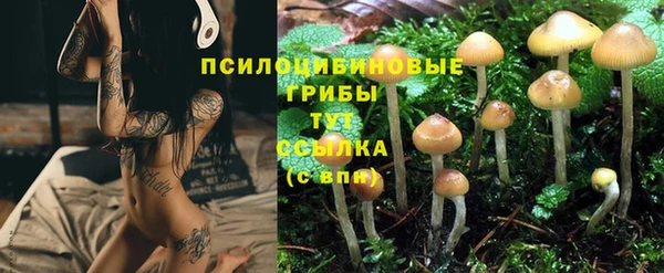 кокс Приозерск