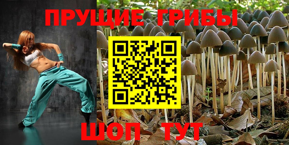 Петровск  Галлюциногенные грибы Magic Shrooms  Вход с VPN  Псилоцибиновые грибы ЛСД 