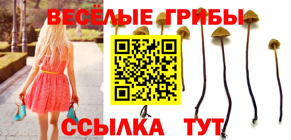 Галлюциногенные грибы мицелий Петровск